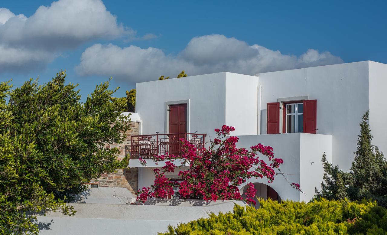 Отель Naxos Palace