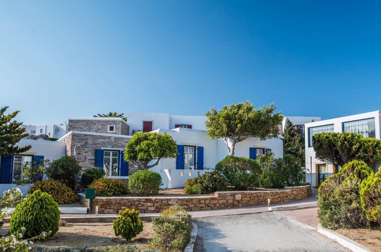 Naxos Palace 4* Стелида