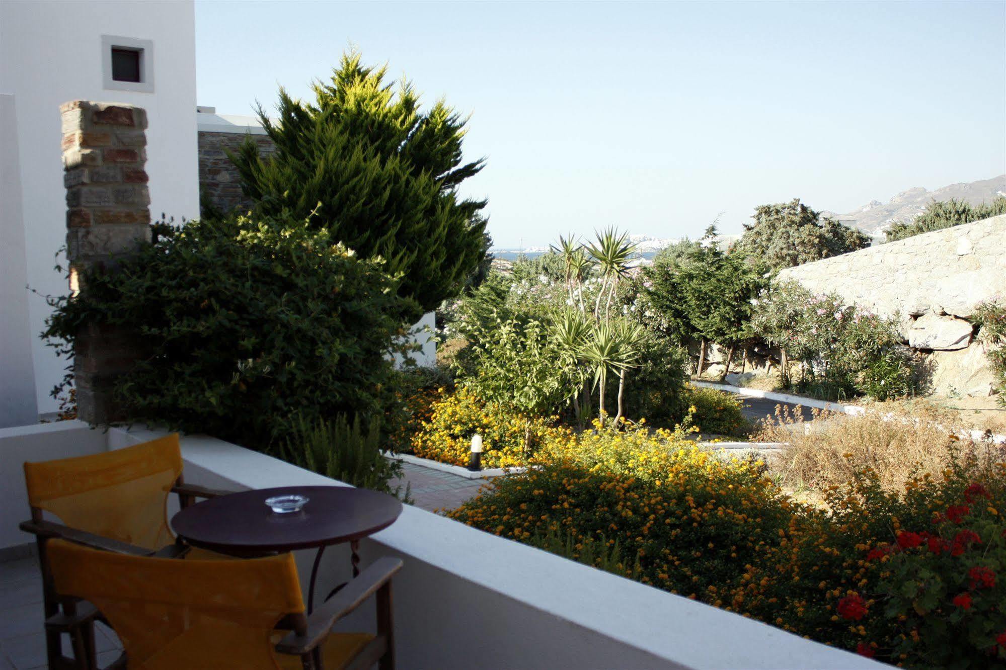 Naxos Palace Отель