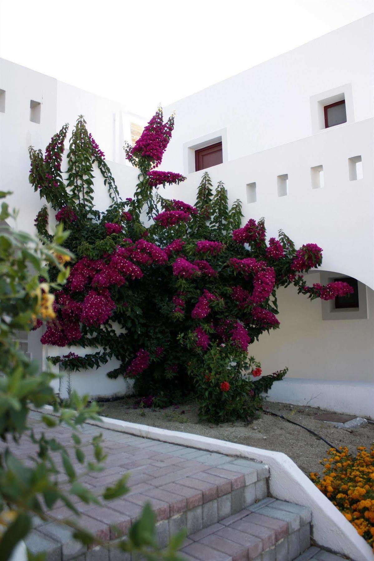 Naxos Palace Отель 4*